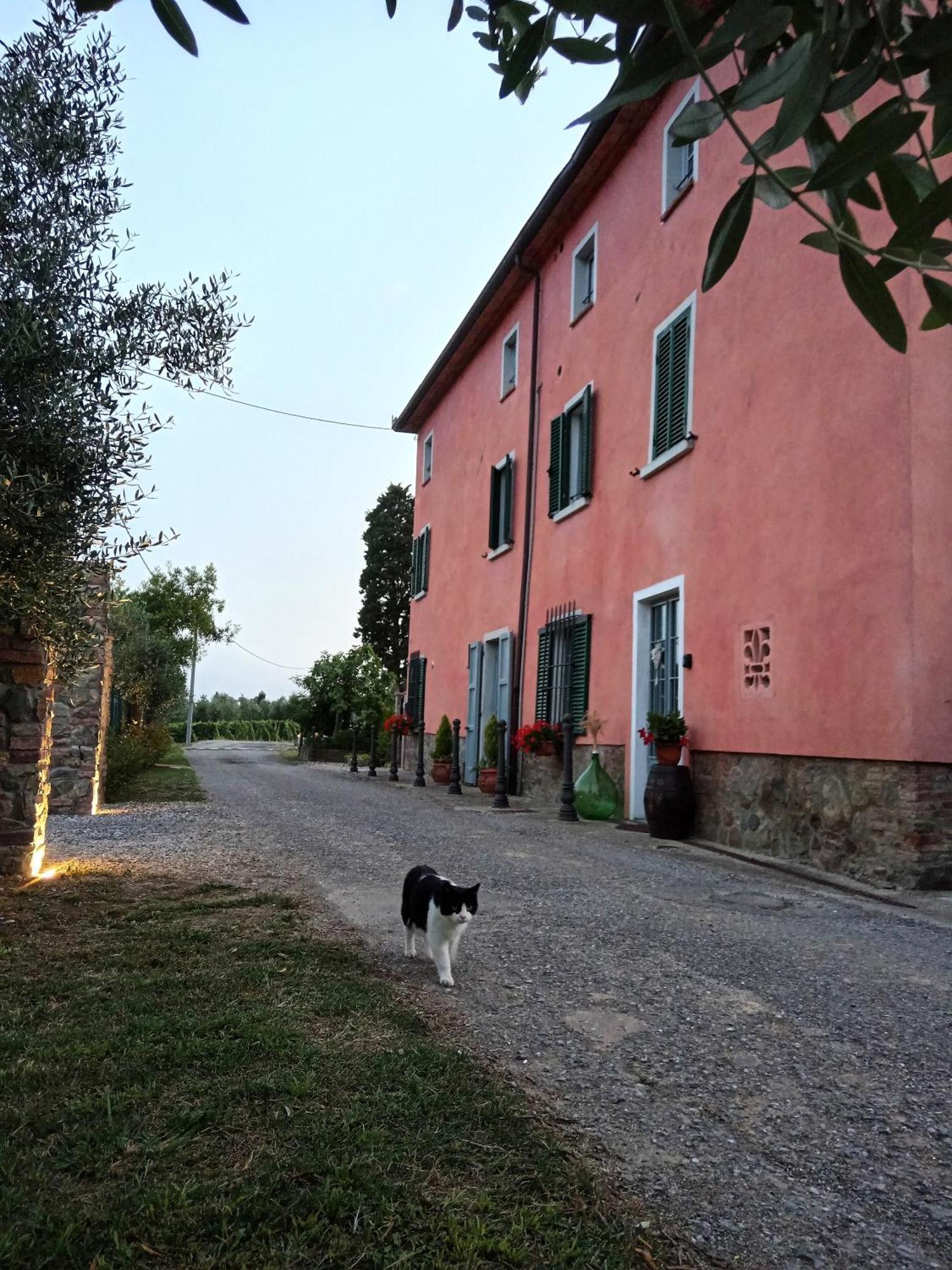 Casale - La Camera Di Leda Lamporecchio Eksteriør bilde